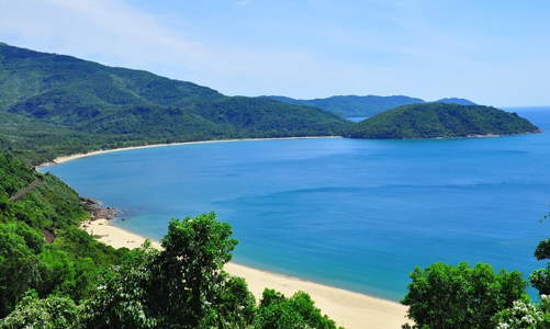 Vinhomes chuyển nhượng cổ phần dự án Làng Vân cho Công ty mẹ Vingroup