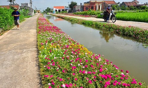 Đô thị hóa không theo quy hoạch sẽ phá vỡ cảnh quan nông thôn