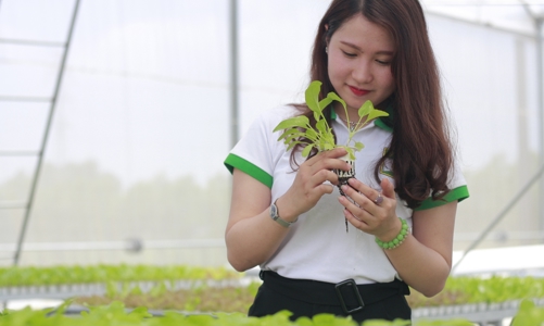 Phát triển nguồn nhân lực ngành nông nghiệp