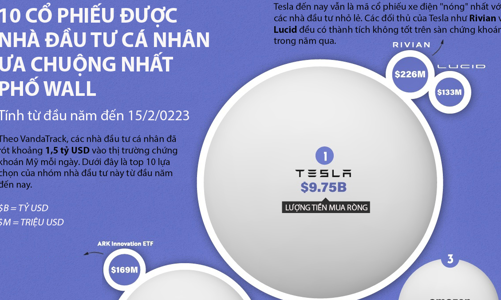 Điểm danh 10 cổ phiếu được nhà đầu tư cá nhân ưa chuộng nhất Phố Wall năm 2023