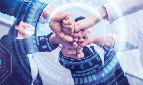 Doanh nghiệp trong nước: Những mảng sáng - tối