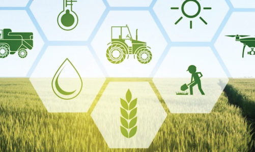 Nông nghiệp tiếp tục khẳng định là bệ đỡ