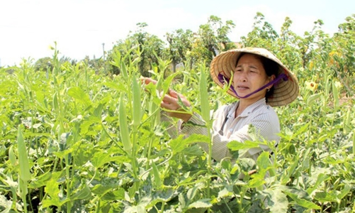 EU siết chặt quy định với hàng nhập khẩu, doanh nghiệp Việt Nam cần có sự chuẩn bị sớm