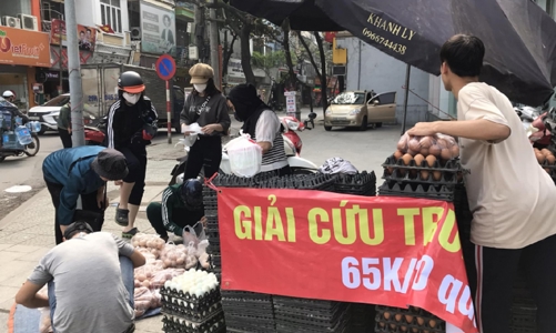 Cảnh giác với trứng gia cầm “giải cứu”