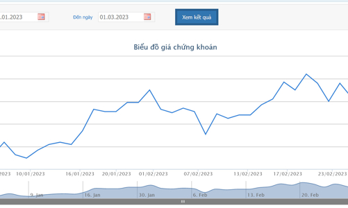 Thanh tra Bộ Tài chính tạm giữ 2,08 tỷ đồng của HSG để xử lý vi phạm hành chính thuế 