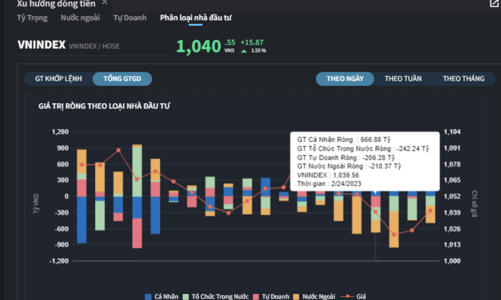 Tự doanh và cá nhân “đồng lòng” gom ròng hơn 500 tỷ đồng