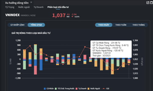 Tự doanh quay xe bán ròng, nhà đầu tư cá nhân vẫn miệt mài gom