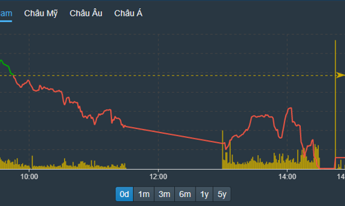 Hàng về tranh bán, thị trường chìm trong sắc đỏ, VN-Index mất sạch đà tăng