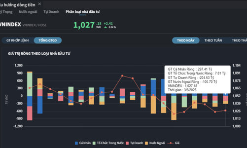 Tự doanh và khối ngoại xả mạnh, cá nhân tung tiền gom ròng phiên thị trường trượt dốc