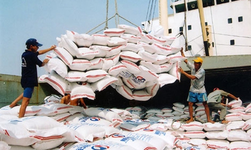 Xuất khẩu gạo của Việt Nam sẽ tăng cao do các nước đẩy mạnh dự trữ lương thực 