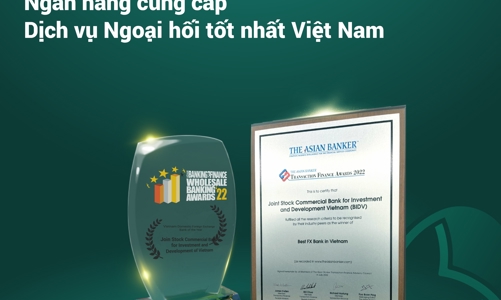 Lộ diện “Ngân hàng cung cấp dịch vụ ngoại hối tốt nhất Việt Nam”