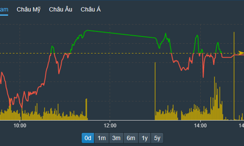 Vốn ngoại mua gần 16% sàn HoSE, cổ phiếu giảm giá vẫn áp đảo