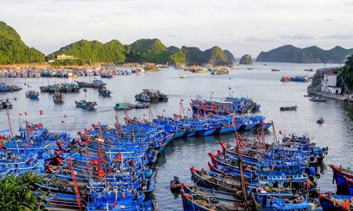 Dự kiến trao quyền cho địa phương quản lý các tuyến đường thủy nội địa quốc gia ngay trong năm 2023