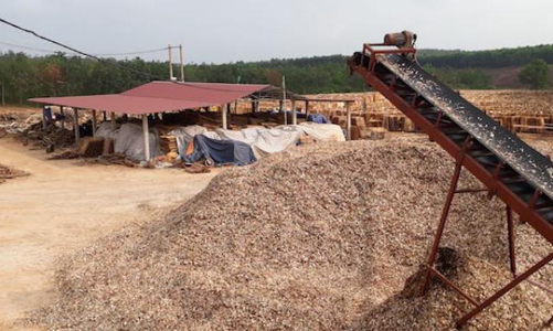 Quảng Trị “đau đầu” với các nhà máy sản xuất dăm gỗ trái phép
