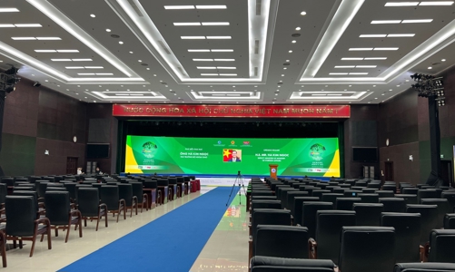 Rồng Vàng 2023 sẵn sàng 