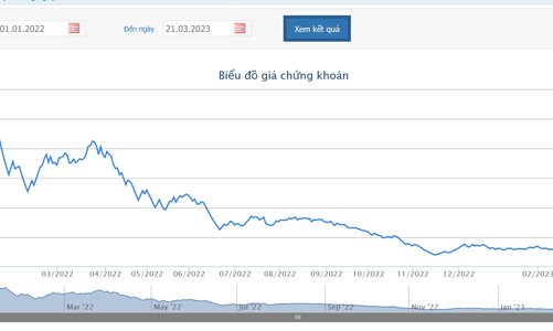 Phó Chủ tịch DIG mua thành công 5 triệu cổ phiếu