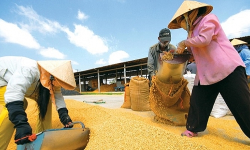 Ngân hàng Nhà nước chỉ đạo 