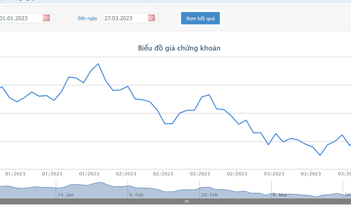 Em dâu Chủ tịch DIG 