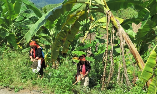 Phương thức hỗ trợ giảm nghèo bền vững phù hợp với điều kiện từng địa phương