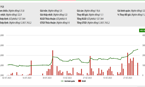 Ngày 7/4 tới, Petrolimex chính thức đấu giá công khai 120 triệu cổ phiếu PG Bank 