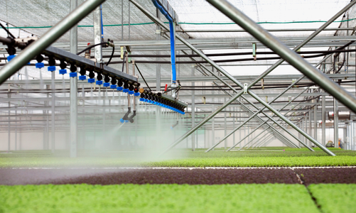 Thách thức ứng dụng trí tuệ nhân tạo vào nông nghiệp