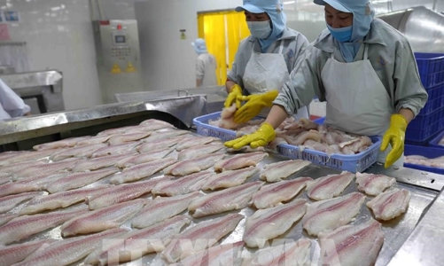 Xuất khẩu thủy sản đặt kỳ vọng tăng trưởng trong quý 2/2023