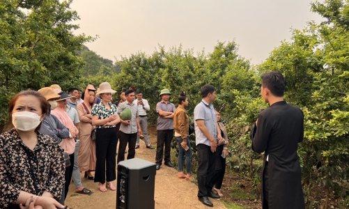 Đưa nông dân Sơn La đến gần hơn với thương mại điện tử