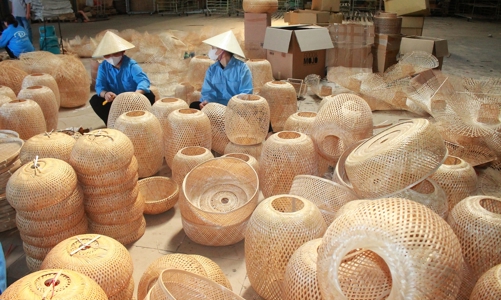 Hàng nghìn nông dân thoát nghèo nhờ cây lùng