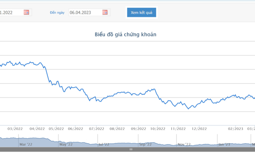 Công ty mẹ Pacific Holdings lại muốn bán tiếp 19,9 triệu cổ phiếu VCG