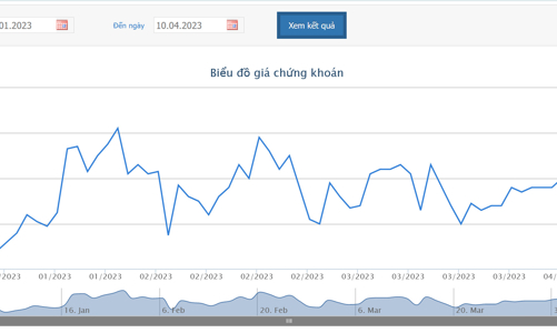 Chị gái Phó Chủ tịch HPG đã bán xong cổ phiếu
