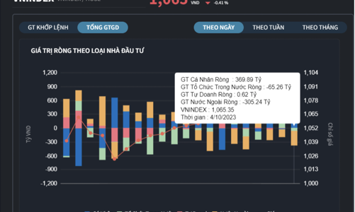 Nhà đầu tư cá nhân 