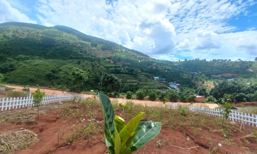 Lâm Đồng: Loạt sai phạm đất đai tại huyện Lâm Hà