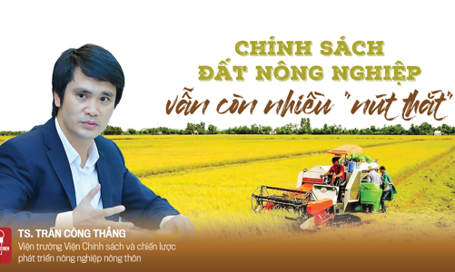 Chính sách đất nông nghiệp vẫn còn nhiều “nút thắt”