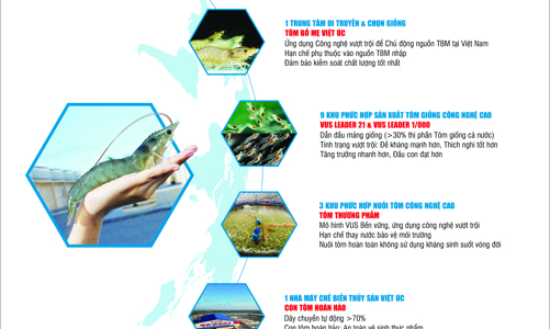 Việt Úc với khát vọng nâng tầm tôm Việt thông qua chuỗi giá trị khép kín