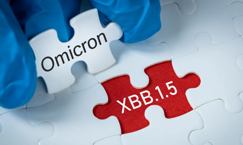 Biến chủng XBB.1.5 đã được ghi nhận tại Việt Nam