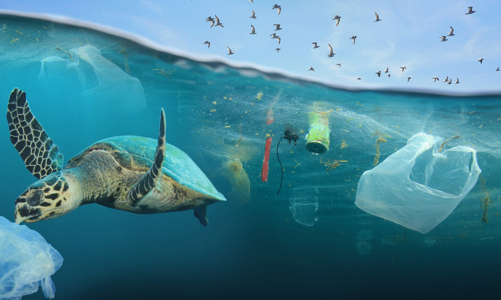 Đừng để rác thải nhựa ảnh hưởng tới du lịch