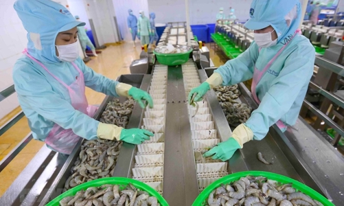 Xuất khẩu của Việt Nam sang Hàn Quốc và Nhật Bản còn rất khiêm tốn