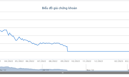 HAI lên UPCoM cũng nhận quyết định đình chỉ giao dịch ngay lập tức