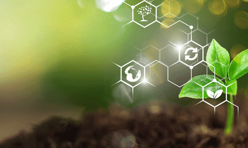 Ứng dụng AI và Big Data trong lĩnh vực công nghệ nông nghiệp Đông Nam Á