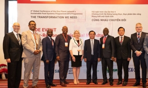 Việt Nam hỗ trợ nhiều nước châu Phi sản xuất lương thực