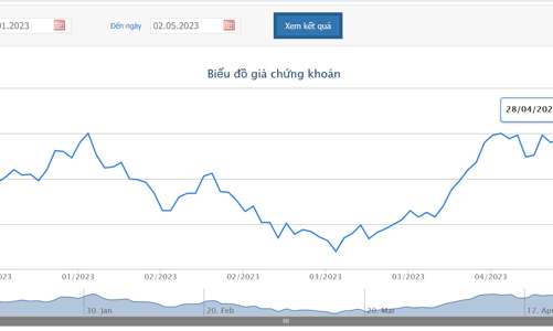 Doanh thu tài chính tăng đột biến, DIG báo lãi hơn 100 tỷ đồng