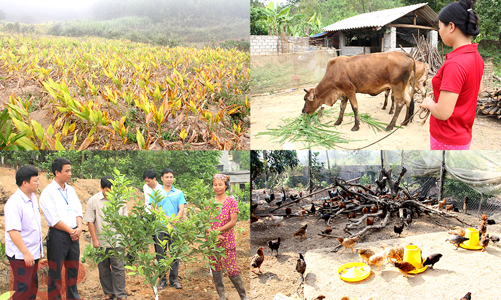 Tiền bảo hiểm vi mô bảo vệ sức khỏe, tài sản cho người có thu nhập thấp lên tới 120 triệu đồng