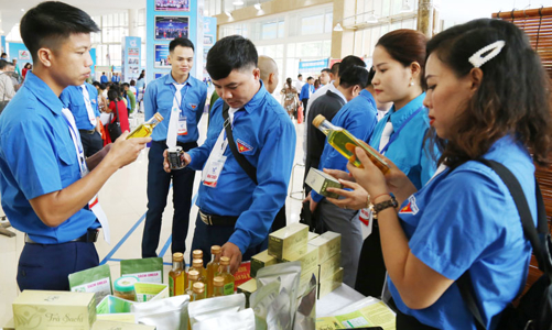 Thúc đẩy khởi nghiệp khu vực Đồng bằng Sông Hồng: “Không thể dàn hàng ngang để đi”