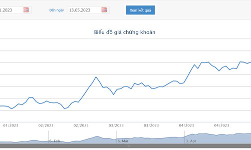 Lãi quý 1/2023 giảm 80%, vợ Chủ tịch HQC muốn thoái hết hơn 18 triệu cổ phiếu
