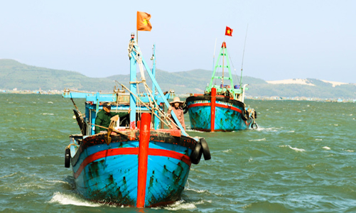 Hải Phòng cùng cả nước nỗ lực thực hiện giải pháp gỡ thẻ vàng IUU 