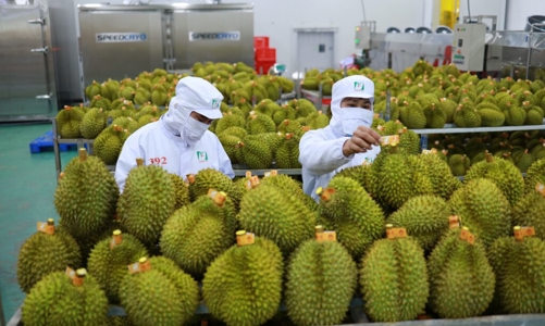 Thúc đẩy xuất khẩu nông sản Việt thông qua mã số vùng trồng