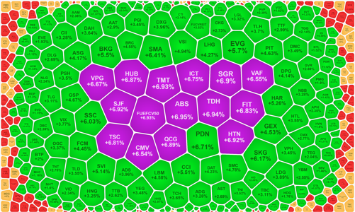 Cổ phiếu nhỏ nổi sóng, VN-Index “đỏ vỏ xanh lòng”