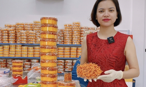 Đông trùng hạ thảo Đỗ Thị Toán: Vị thuốc quý cho sức khỏe