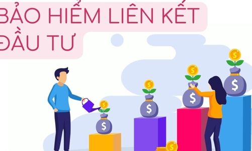 Đại biểu Quốc hội kiến nghị Bộ Tài chính thanh tra tập trung loại hình bảo hiểm liên kết đầu tư