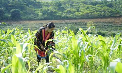 Giảm nghèo bền vững, cần cấp quyền chủ động cho địa phương